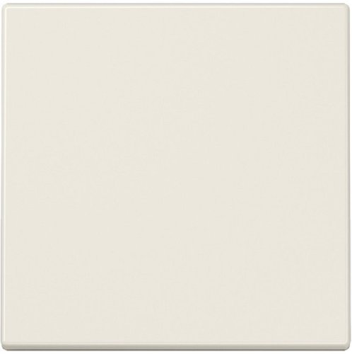 Лицевая панель Jung LS990 для 1-кл. выключателя бежевый фото Лицевая панель Jung LS990 для 1-кл. выключателя бежевый картинка